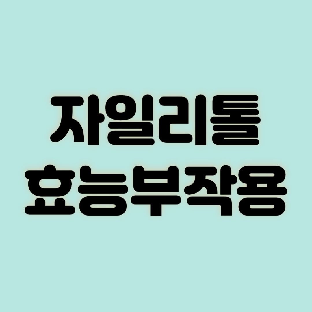 자일리톨 효능부작용