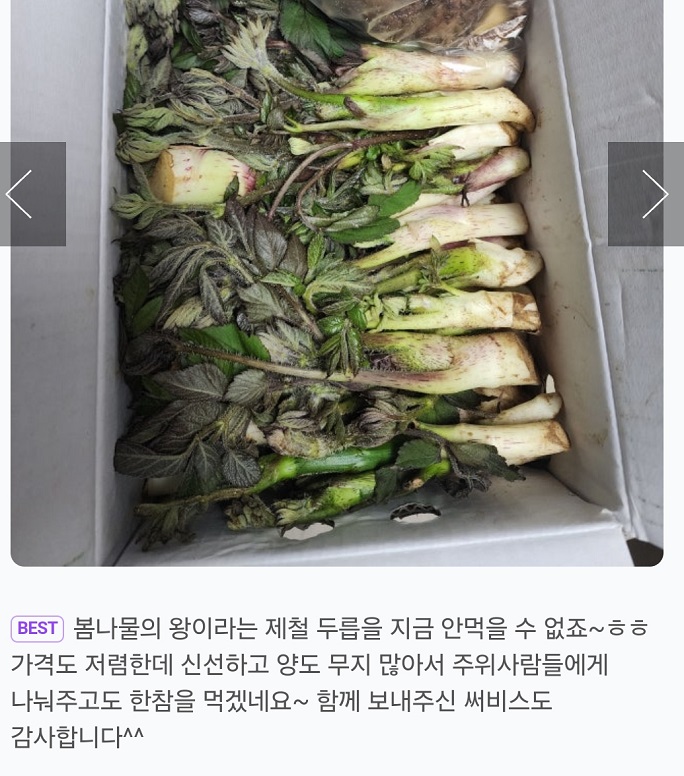 땅두릅-주문-택배