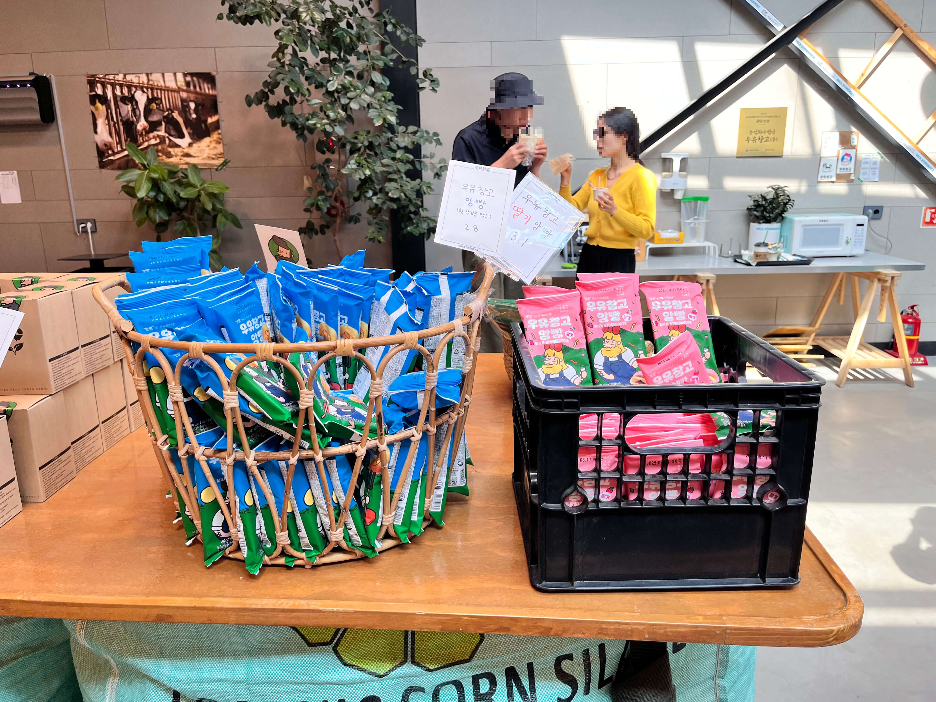 보령 목장 대형카페 우유창고