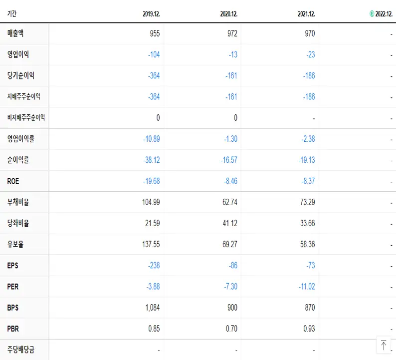 쌍방울 재무제표