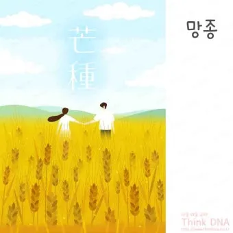 망종 절기 망종의 뜻 전통음식 매실청 담그기_5