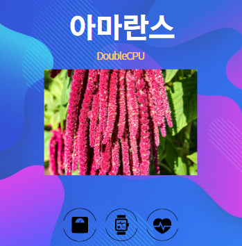 아마란스