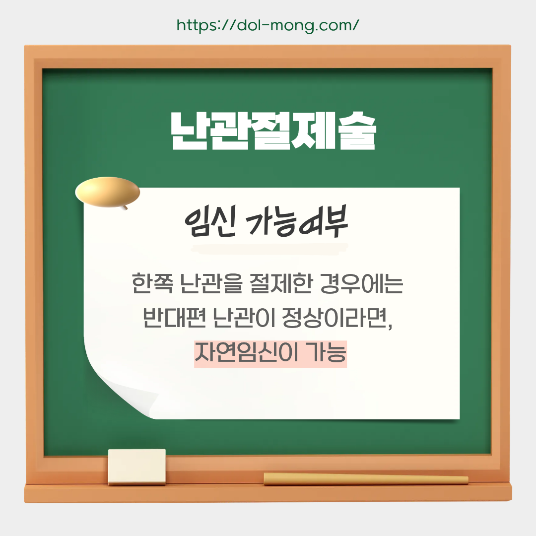 임신 가능 여부 - 한쪽 난관을 절제한 경우에는 반대편 난관이 정상이라면 자연임신이 가능합니다.