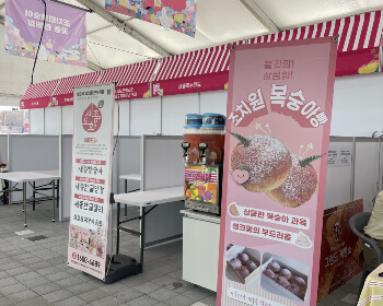 조치원 복숭아 축제_25