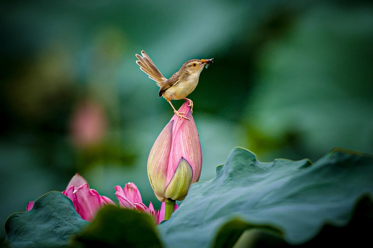 민생회복 소비쿠폰 2차 신청 방법