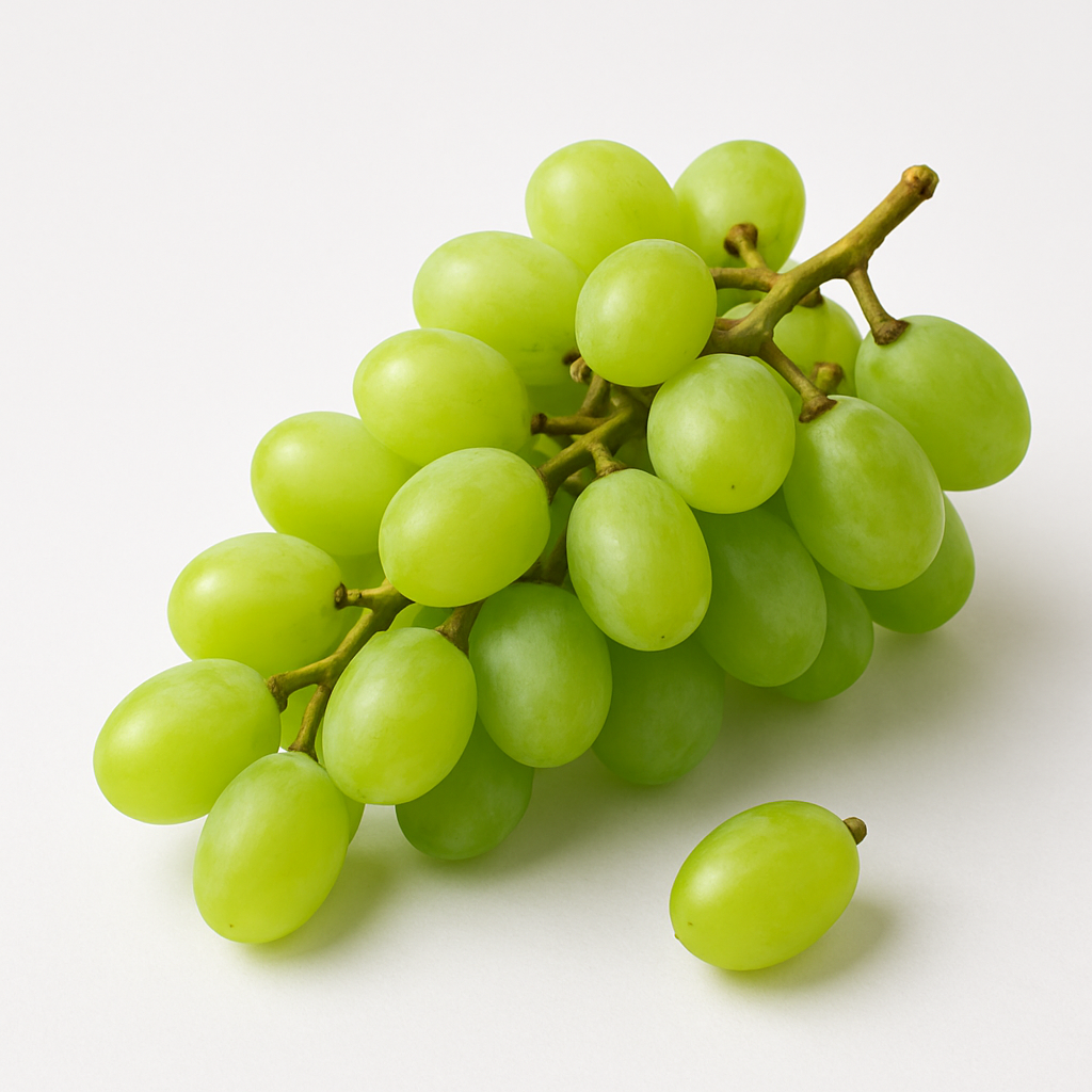 청포도-1