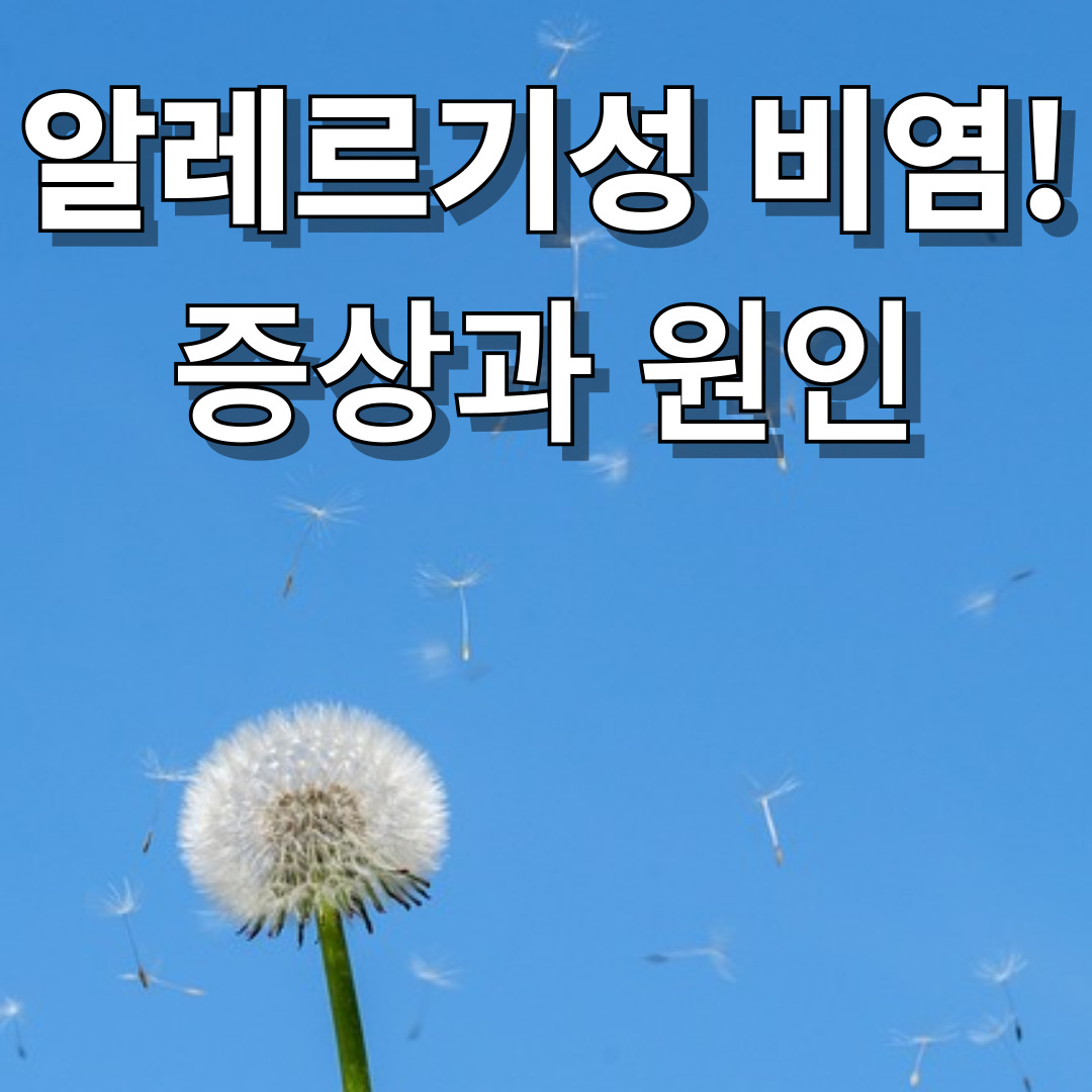 알레르기성 비염 증상과 원인