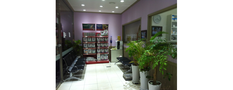 이천시 동물병원