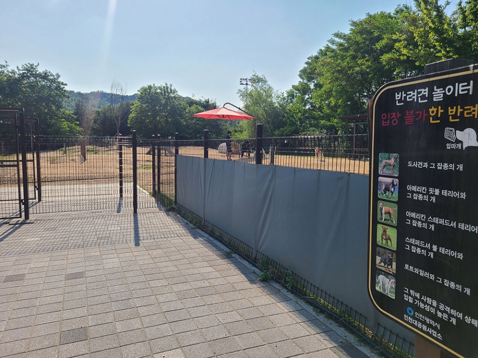 서울·인천·부천 반려동물 놀이터 추천 & 이용 꿀팁