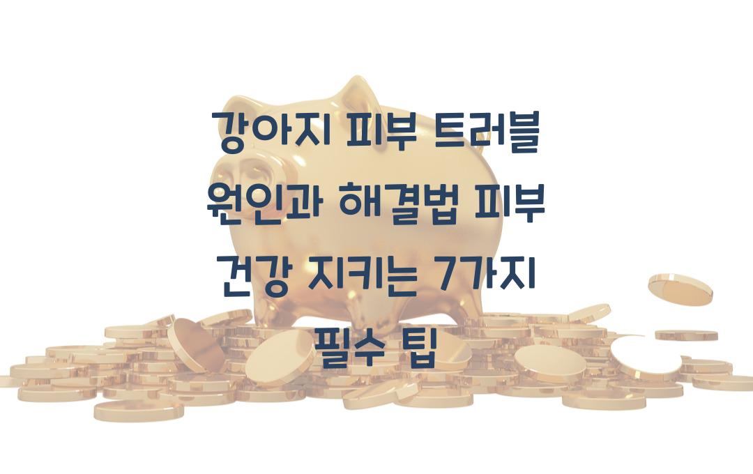 강아지 피부 트러블 원인과 해결법, 피부 건강을 지키는 방법