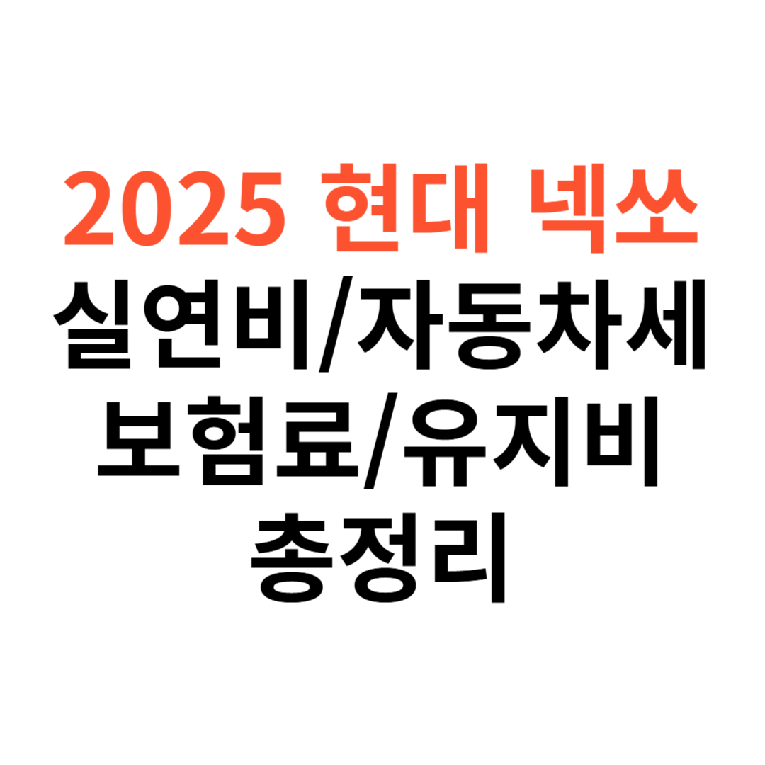 현대 넥쏘 차량 실연비