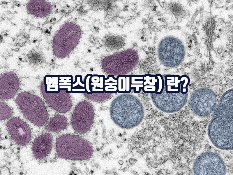 엠폭스(원숭이두창)이란 무엇인가