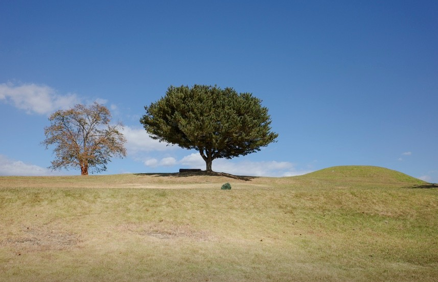 잊혀진 고대 왕국의 숨결을 찾아서 가야 고분군