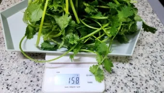 고수 나물 요리 재배 먹는법 무침 김치 만드는 법_14