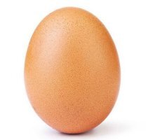 목에 좋은 음식