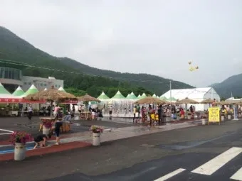 강진 수국길축제 일정 초대가수 강진 여행 2025 완벽 가이드_6