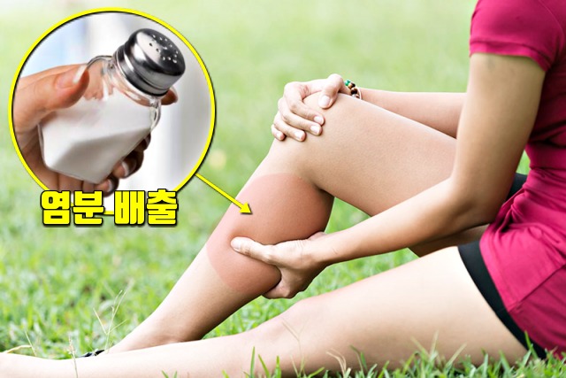 여름 3대 보양채소 오이 꼭지 효능,붓기 제거에 좋은 음식,루테인,전립선,건강