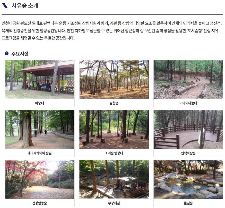 인천대공원 산림치유 체험 종류