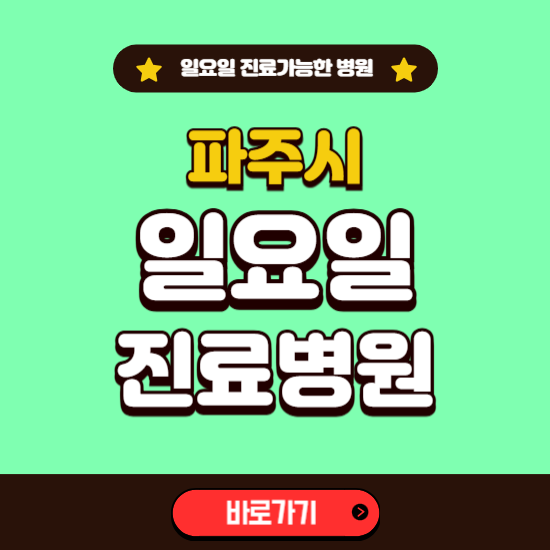 파주시 일요일 진료 가능한 병원 ❘ 주말 문여는 곳 총정리 (소아과, 내과, 안과, 치과, 피부과, 정형외과, 산부인과)