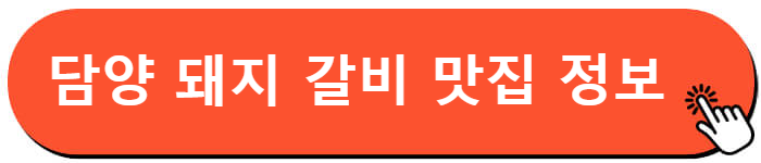 담양 현지인 맛집