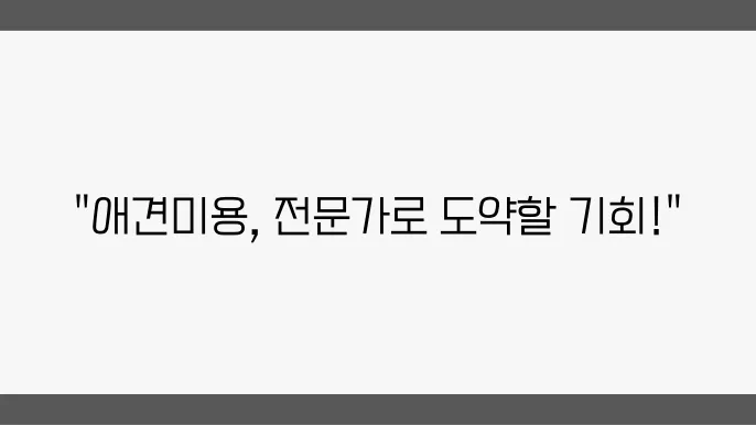 애견미용 교육 과정의 장점