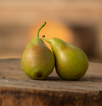 배의 효능 영양성분 부작용