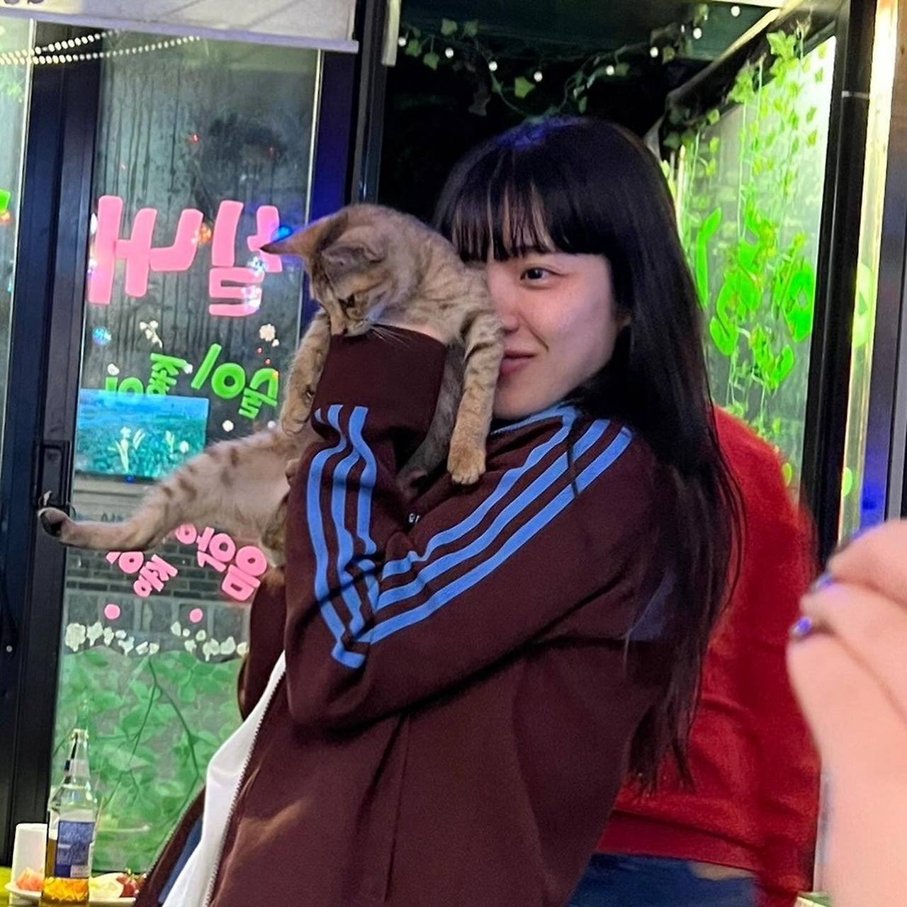 아이묭 인스타그램 한국방문