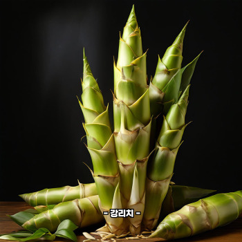 죽순 채취 시기