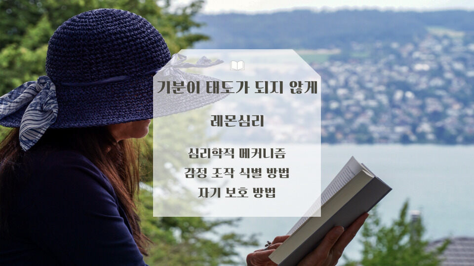 기분이 태도가 되지 않게 레몬심리의 책 심리학적 매커니즘 분석 리뷰