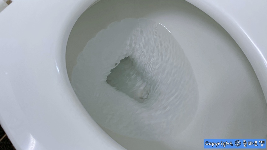 변기-깨끗하게-관리하기