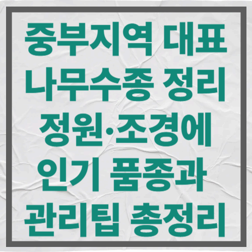 중부지역 대표 나무수종 정리｜정원·조경에 인기 품종과 관리팁 총정리