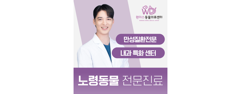 화성시 동물병원