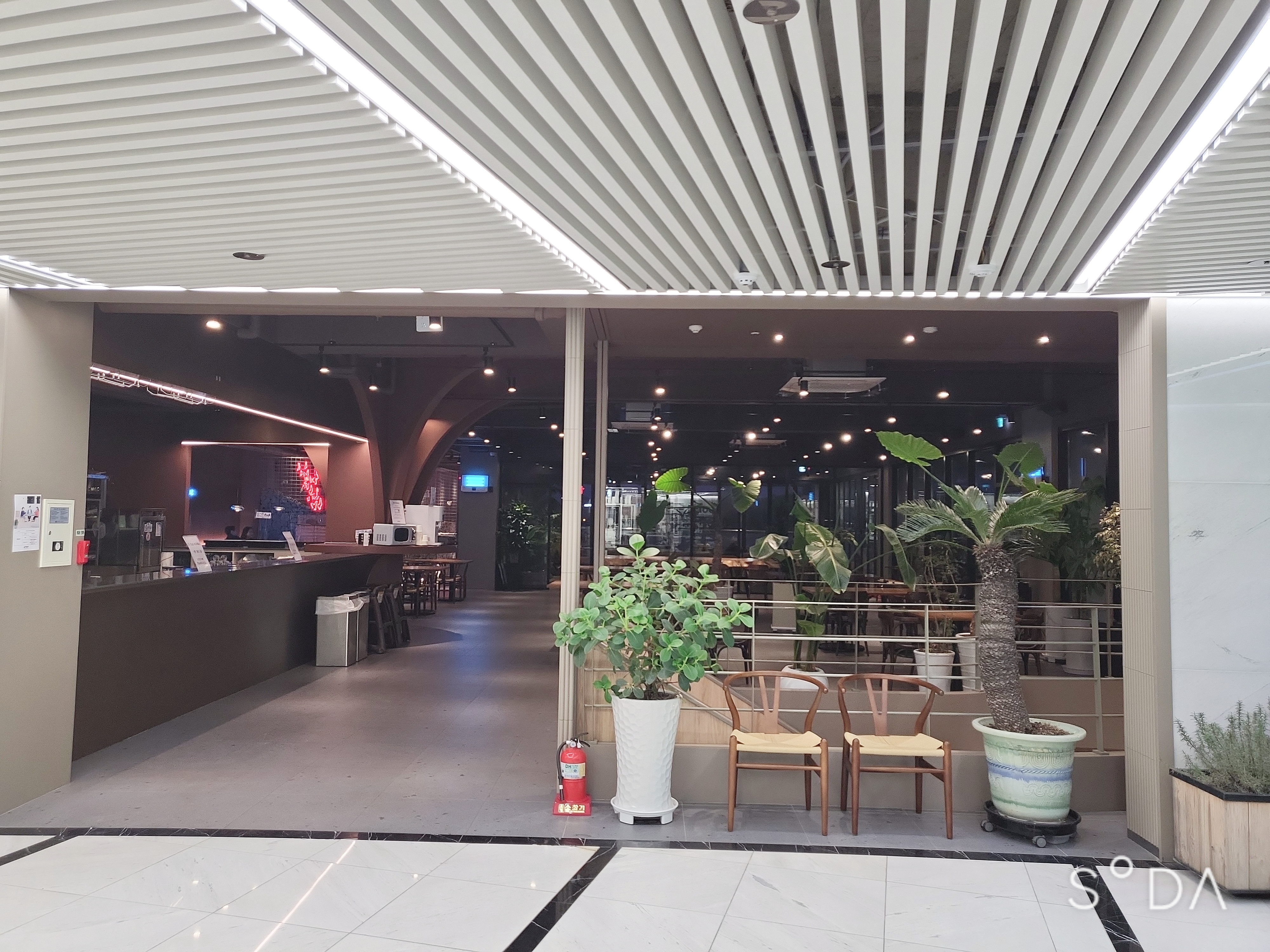 이천 설봉저수지 아르보르 카페