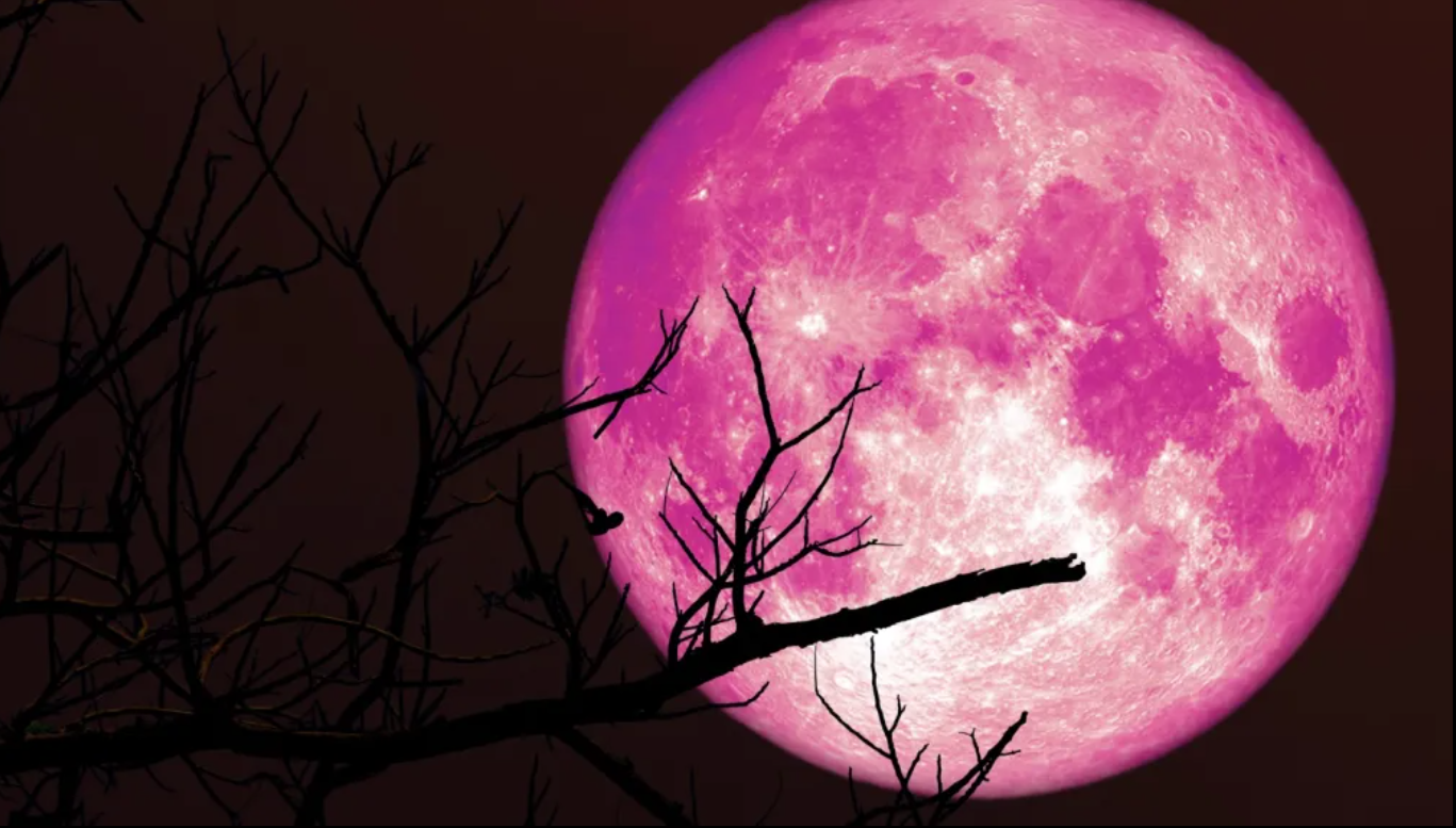 🌕 2025 스트로베리문(Strawberry Moon) 뜻&middot;시간&middot;날짜&middot;뜨는날&middot;뜨는시간&middot;유래 역사 정리