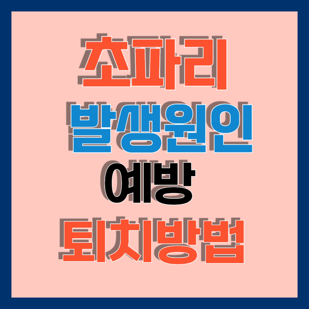 초파리 발생원인과 예방 및 퇴치방법(내돈내산 꿀팁까지)