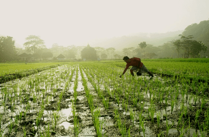 2024 임업직불금 지급시기 금액 신청방법과 관련한 산지 관리하는 임업인 사진