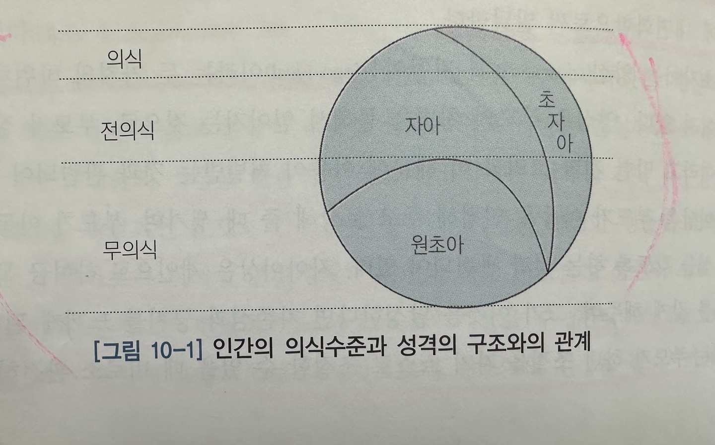 생동적 정신에너지 원초아,해방기제,집행자 자아,초자아,성격의 세 가가지 체계