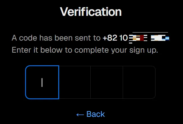 Vercel Verification