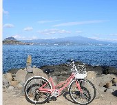 가파도 청보리 축제(2025) 배 시간표 & 주차 완벽가이드 관련 사진