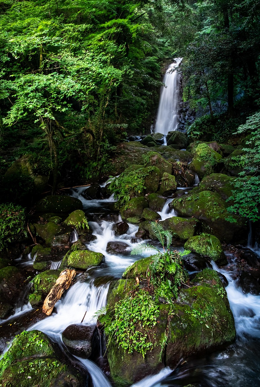 산티아고 순례길 한국인 후기 공통점