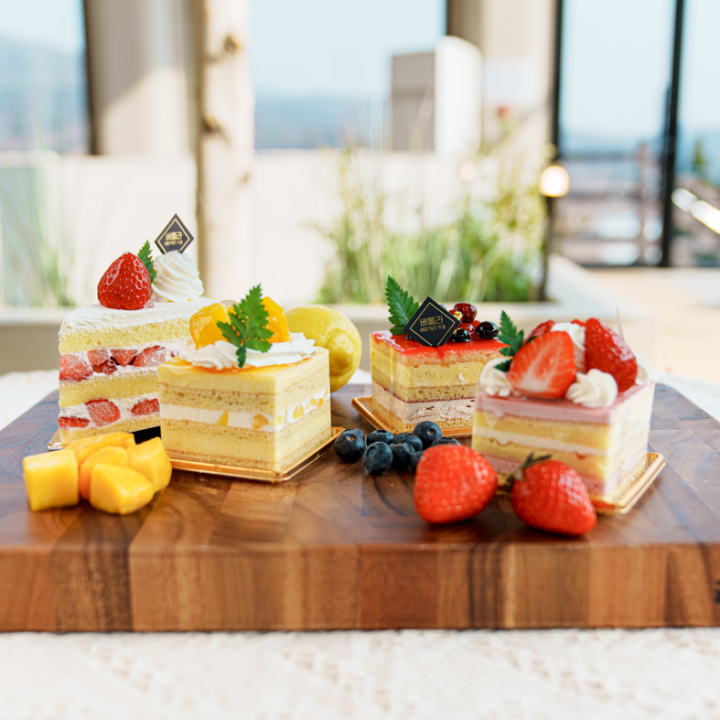 용인 자작나무숲 - 애견동반 입장료 펜션 예약