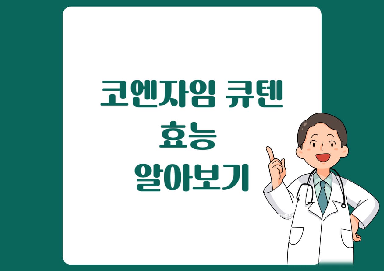 코엔자임-큐텐-효능