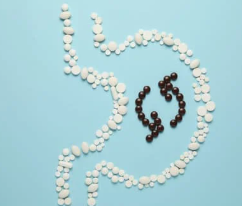 스위치온 다이어트란 식단 정리