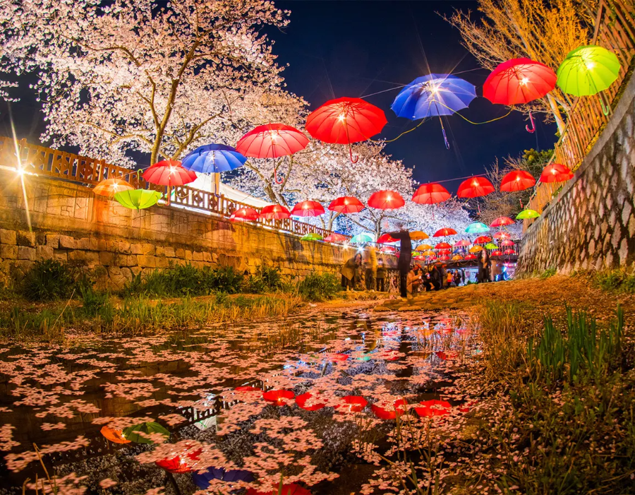 진해 군항제, 나 가야 할까? 2025 벚꽃 개화 시기 & 추천 일정