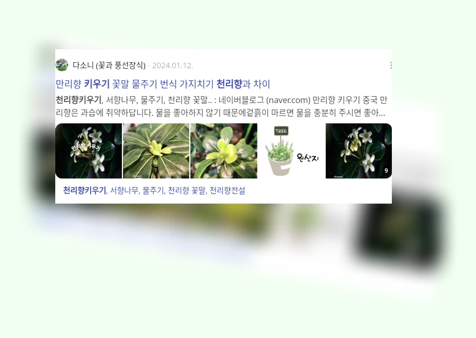 천리향 키우기_2_subsection