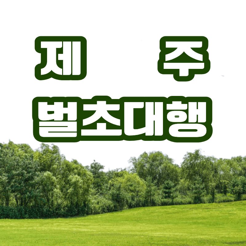 제주 벌초 대행 서비스 농협 및 지역 단체 총정리 관련사진