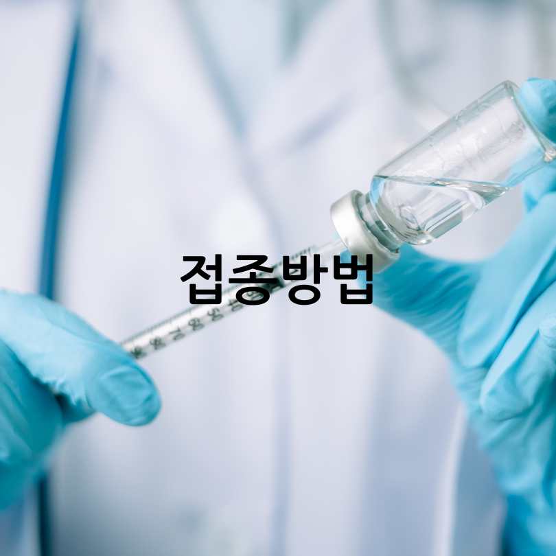 폐렴구균백신예방접종