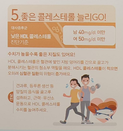
좋은 콜레스테롤 늘리기
