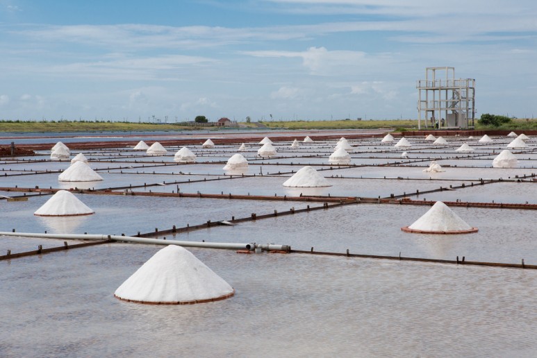 대만 자유여행 코스 추천 : 매력적인 타이난 해안 지역 자유여행