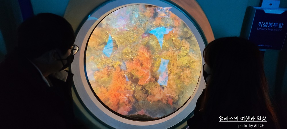 제주 노블피아호텔 주변 서귀포 가볼만한곳 BEST 10 